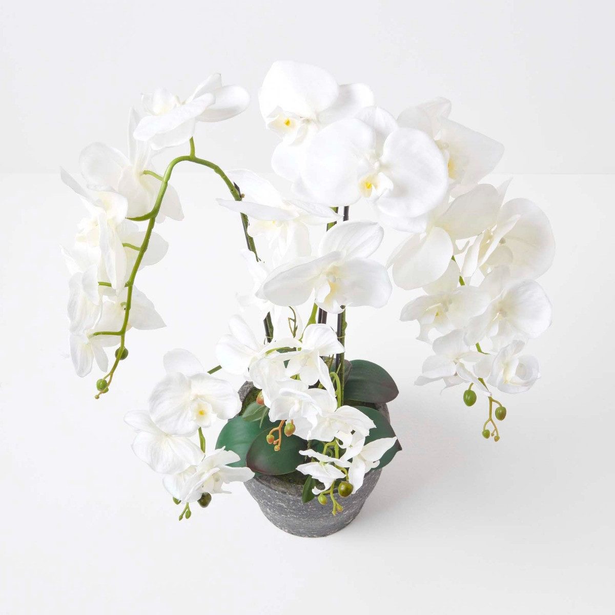 Kunstorchidee Künstliche Phalaenopsis-Orchidee im dunkelgrauen Keramik-Topf, 82 cm, Homescapes