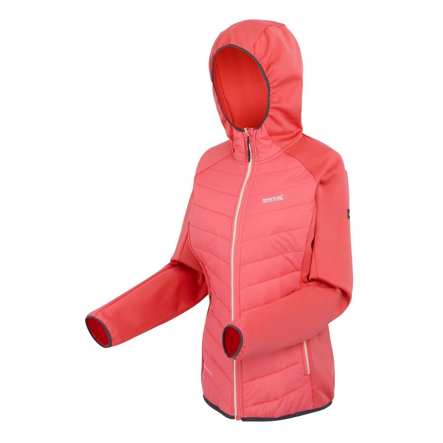 Regatta Steppjacke Softshelljacke Andreson VIII Hybrid günstig online kaufen