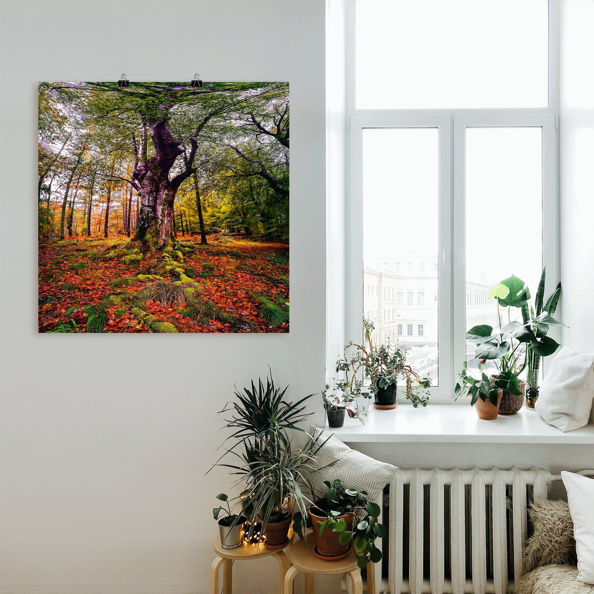 Wandaufkleber Wald, im Alubild, Baumbilder in Wandbild St), Baum Artland Leinwandbild, als Poster oder versch. (1 Größen