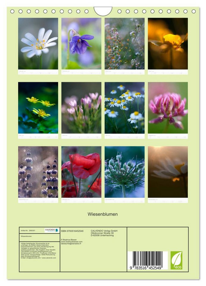 Thumbnail - CALVENDO Wandkalender Wiesenblumen (Wandkalender 2026 DIN A4 hoch), CALVENDO Monatskalender