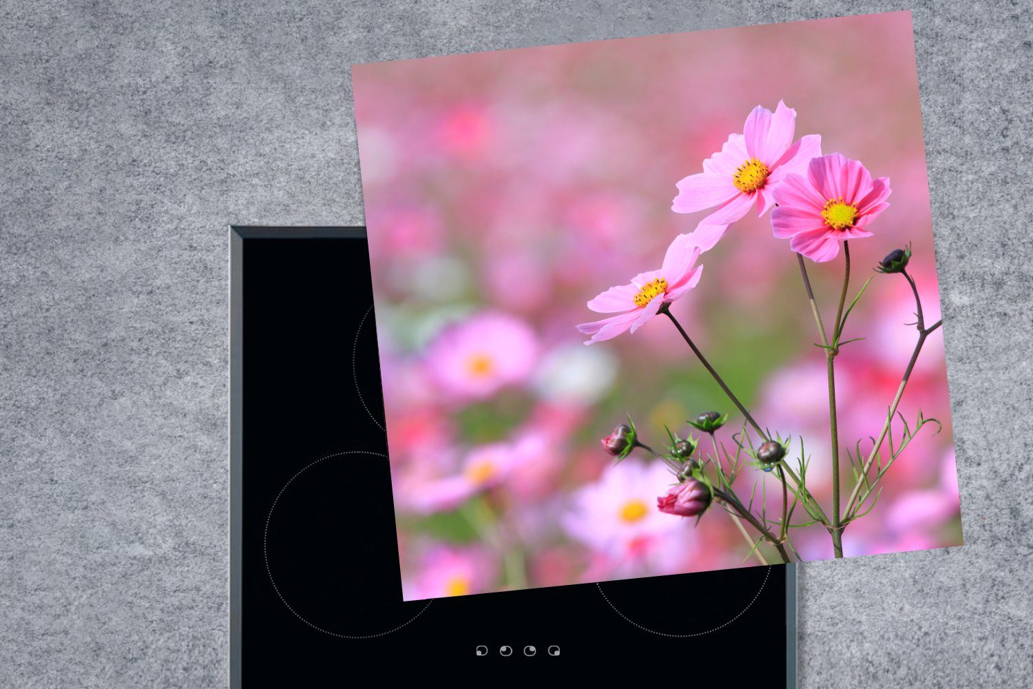 Rosa, (1 Herdblende-/Abdeckplatte cm, küche - Draußen MuchoWow tlg), für Ceranfeldabdeckung, - Arbeitsplatte Blumen 78x78 Vinyl,