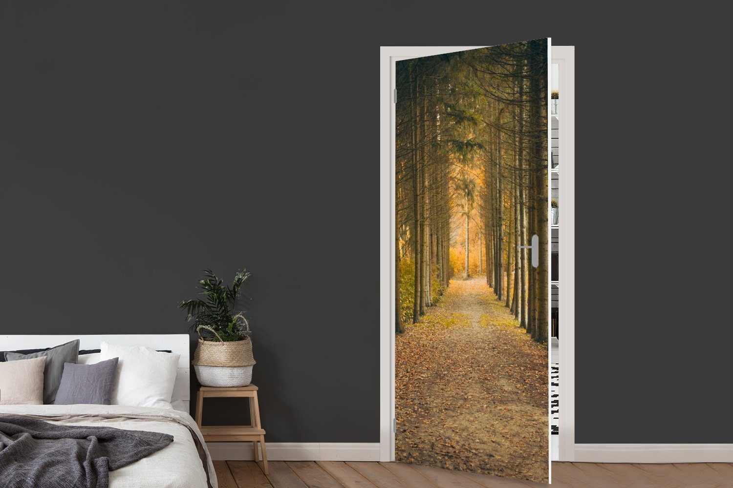 Bäume - Wald, bedruckt, Fototapete Tür, 75x205 Türtapete St), Pfad (1 Türaufkleber, - cm für MuchoWow Matt,