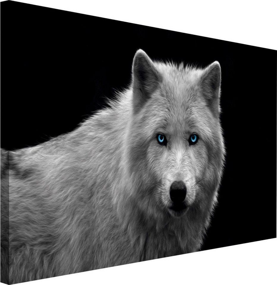Reinders! Wandbild »Wolfsauge«-kaufen