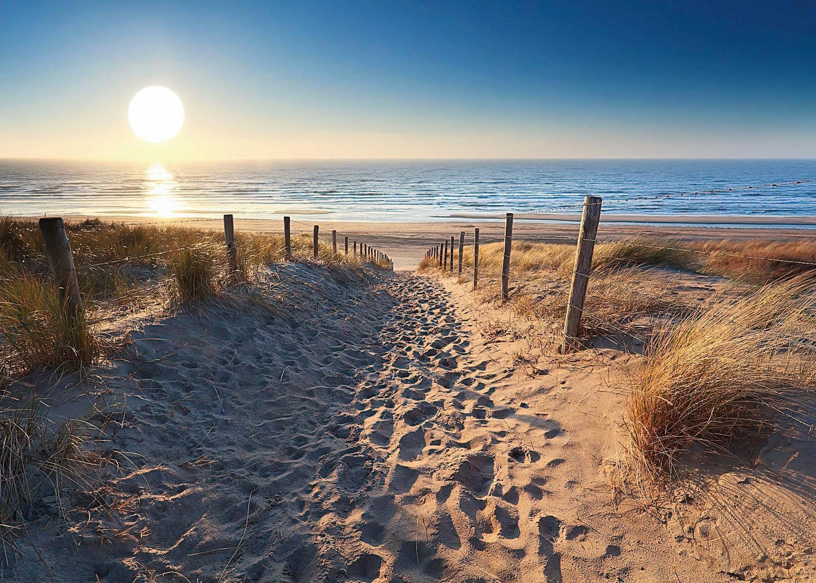 Reinders! DecoPanel »Dünenweg zum Meer« online kaufen OTTO