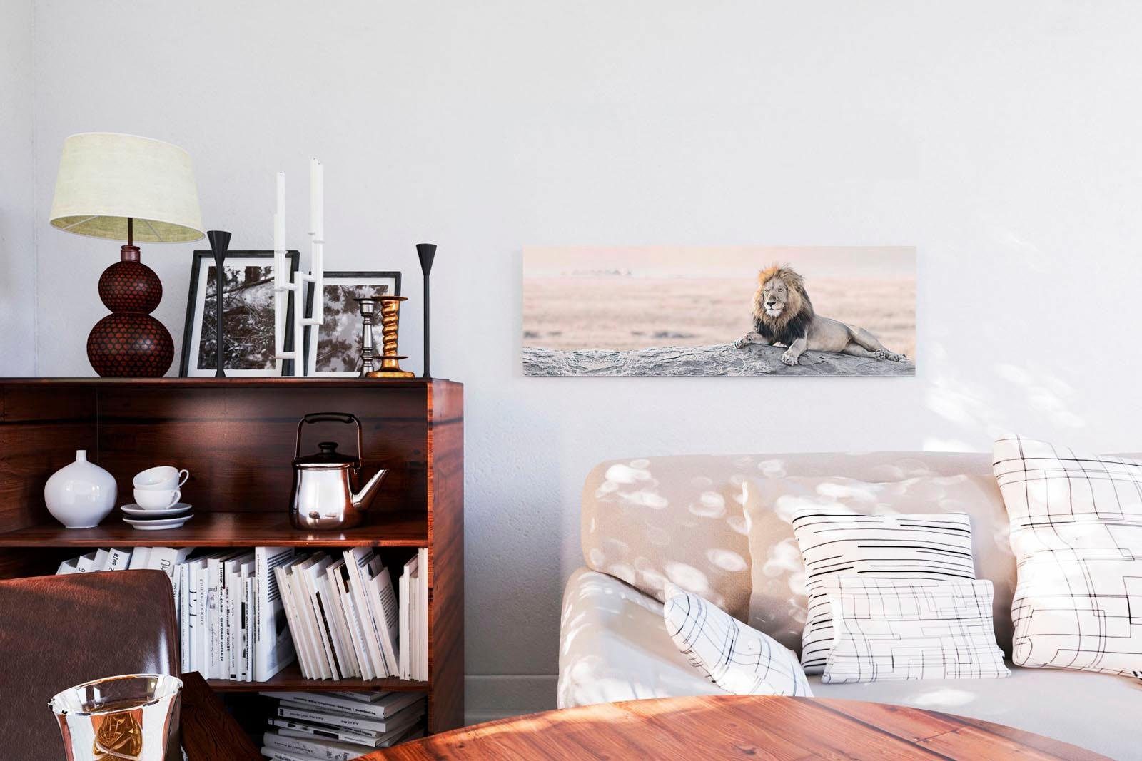 Deco-Panel »Majestätischer Löwe«, Dekorativer Kunstdruck online kaufen