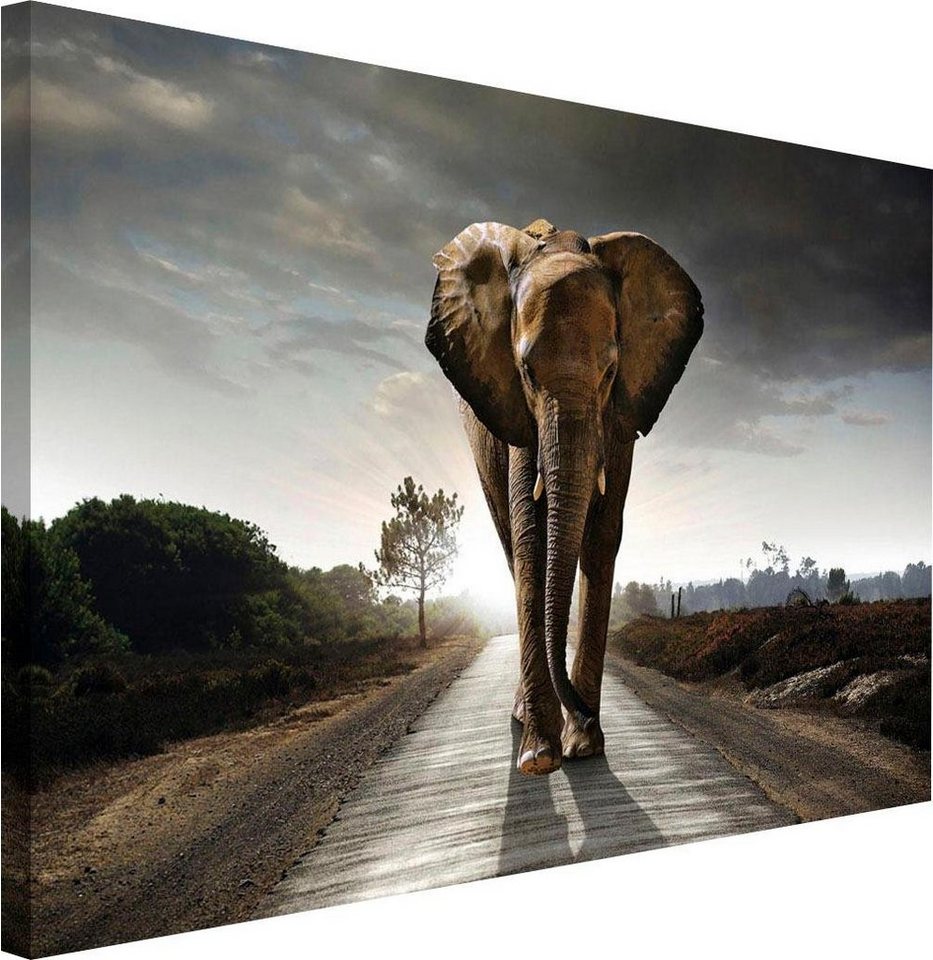 Reinders! Wandbild »Elefant König«-kaufen