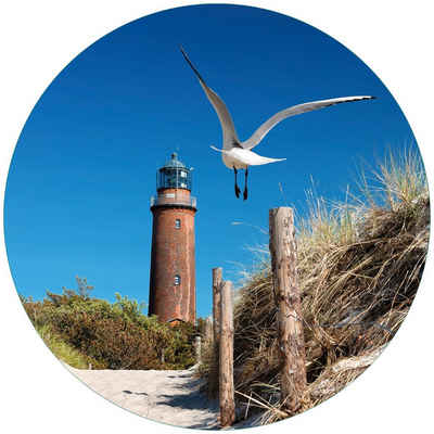 Wallario Glasbild, Möwe am Strand mit Leuchtturm, in verschiedenen Ausführungen