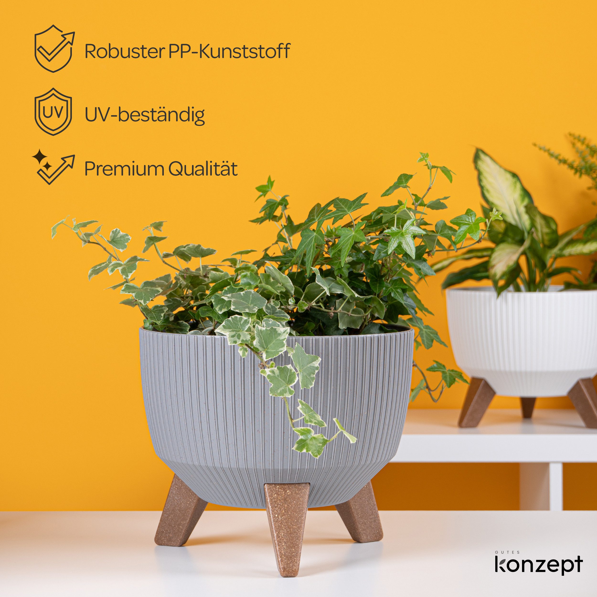 KONZEPT Blumentopf Pflanzschale 24/29cm Blumentopf mit günstig online kaufen