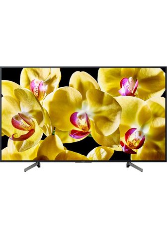 SONY KD49XG8096BAEP LED-Fernseher (123 cm /...