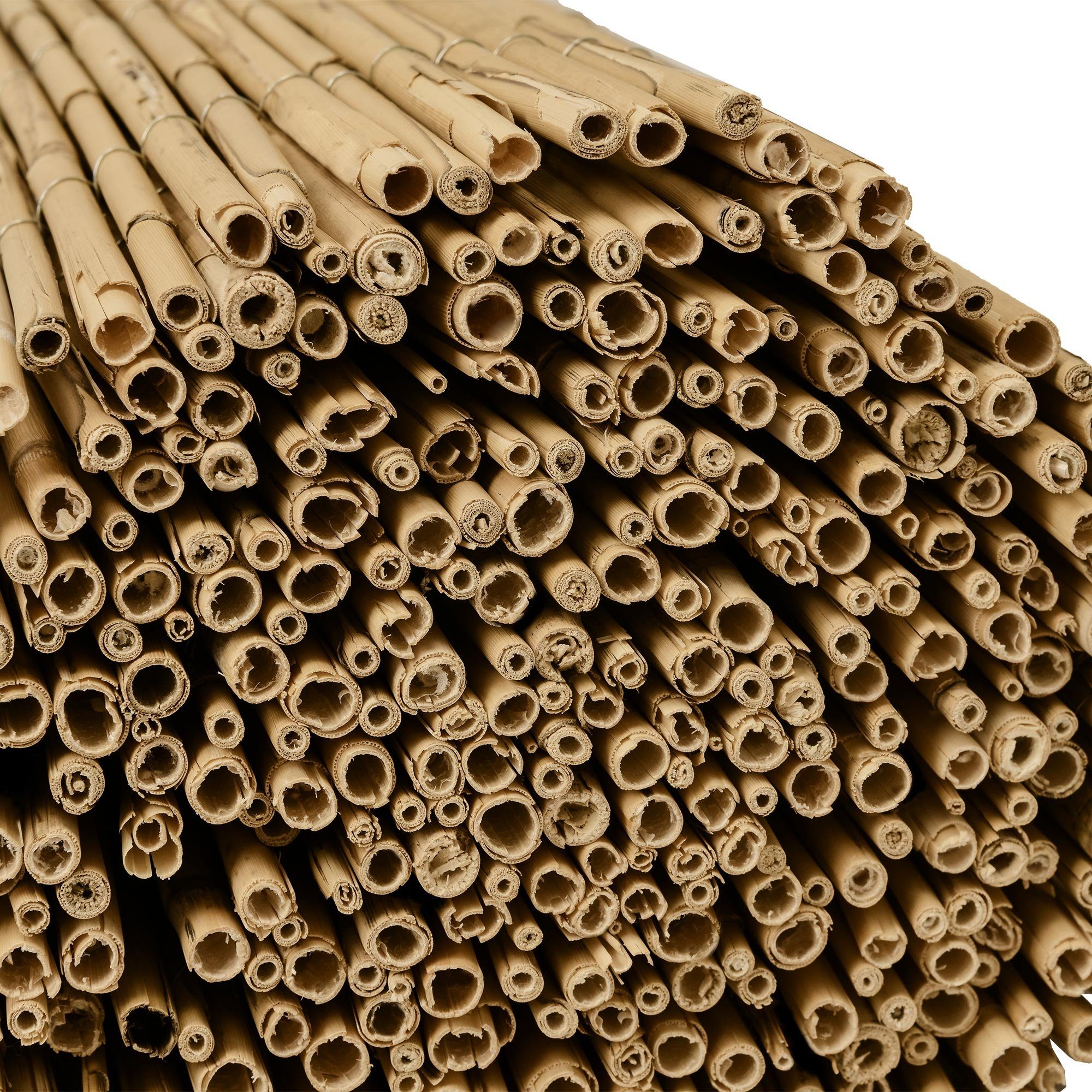 Sol Royal Sichtschutzzaunmatten Schilfmatten Sichtschutz Zaun S36, 100x300cm, Balkon, witterungsbeständiger 100% Schilfrohrmatte Indoor & Outdoor für Garten – Bild 5 von 5