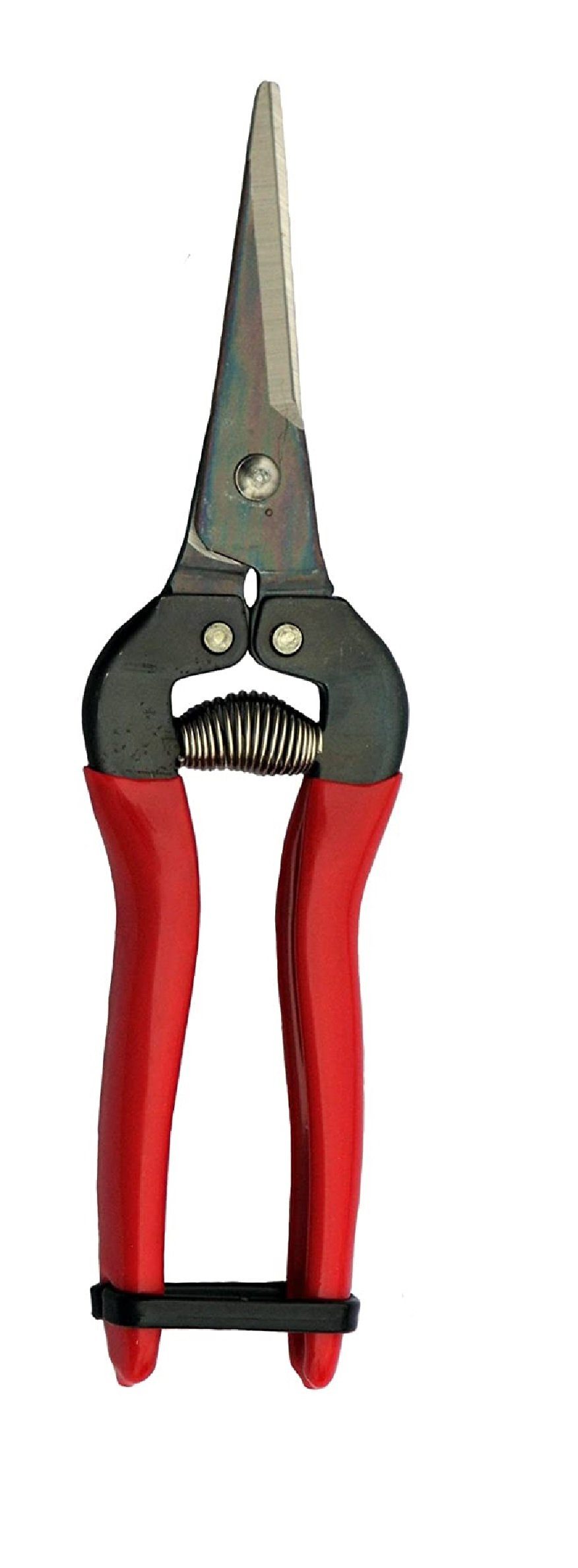 FELCO Gartenschere Leseschere ARS 300L Ernteschere günstig online kaufen
