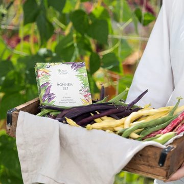 OwnGrown Anzucht- und Kräutererde 6 Köstliche Bohnen Sorten für Garten & Balkon – Saatgut Gemüse, (6-St., 6 er Set), Bio