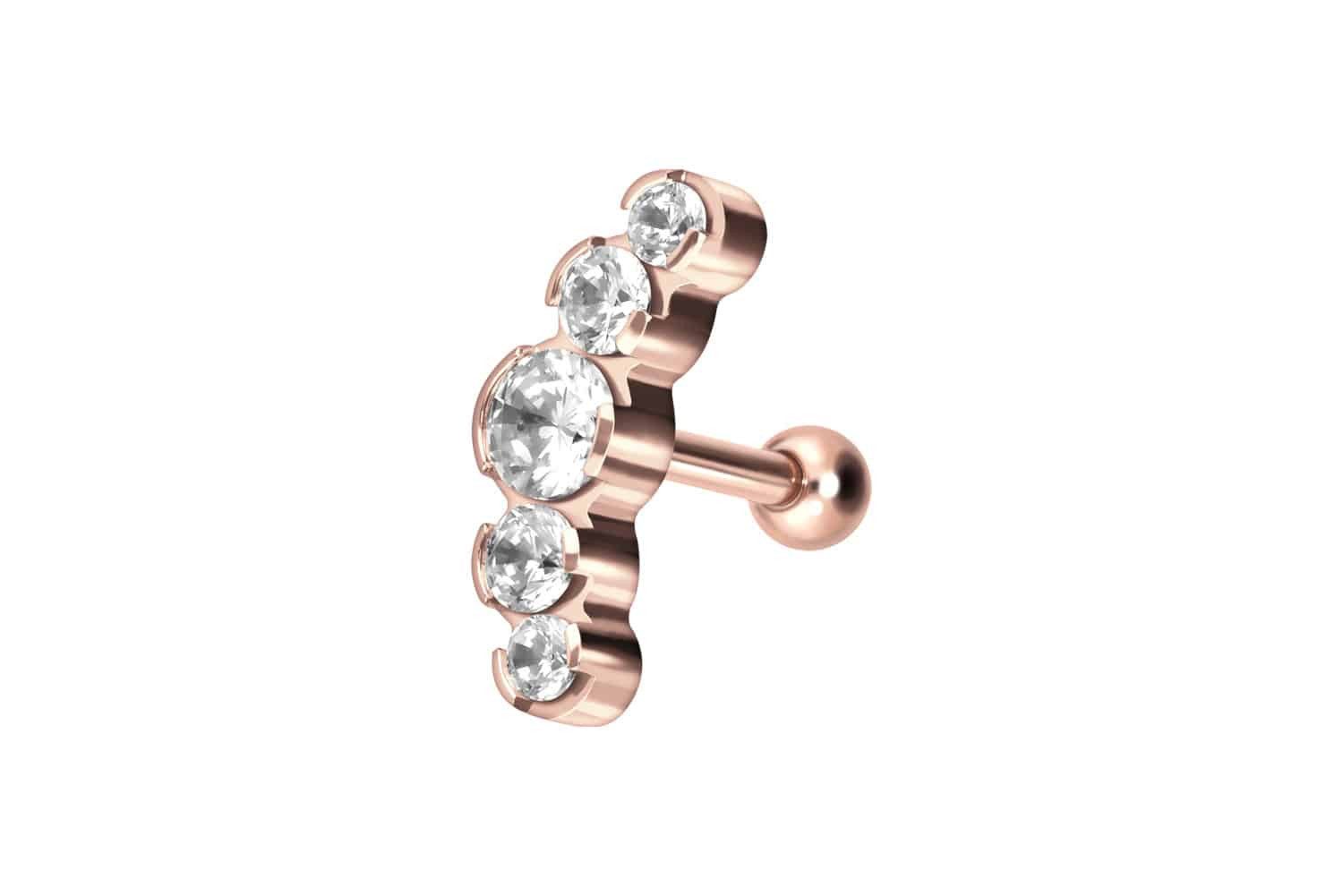 PIERCINGLINE Single-Ohrstecker Titan Ohrpiercing 5 EINGEFASSTE günstig online kaufen