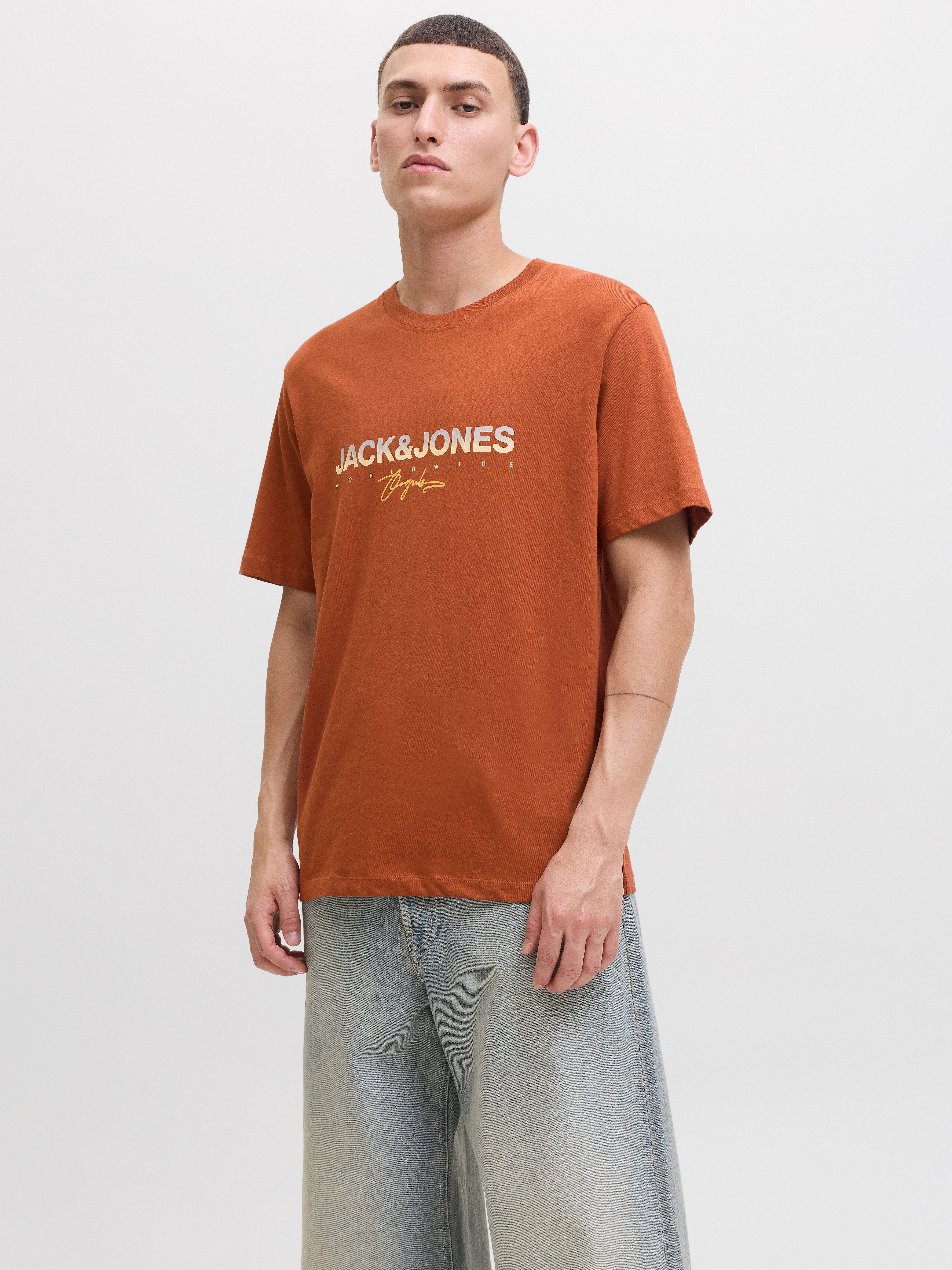 Jack & Jones Print-Shirt JORCANGGU TEE günstig online kaufen