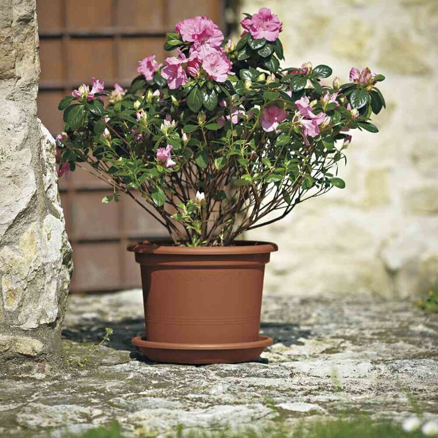 Blumentopfuntersetzer 16 cm Untersetzer terracotta MEDEA euro3plast