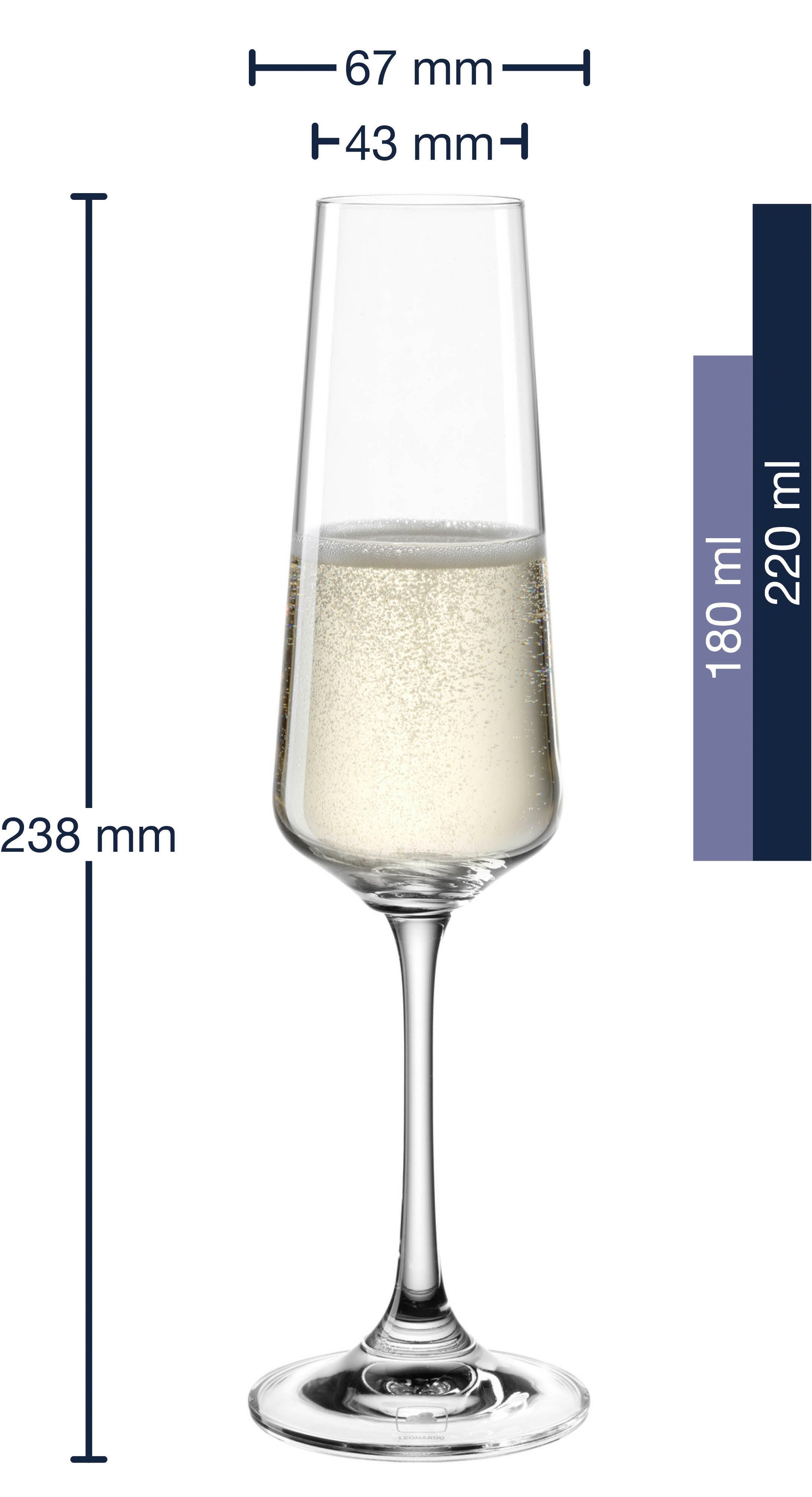 LEONARDO Sektglas Gläser-Set PALADINO, 220 ml, 6er-Set, 6-tlg., Kristallglas, spülmaschinengeeignet