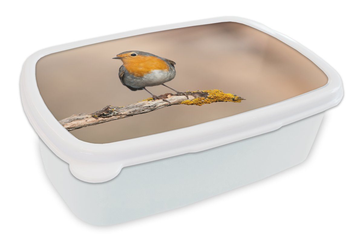 MuchoWow Lunchbox Rotkehlchen - Vogel - Zweig - Tiere, Kunststoff, (2-tlg), Brotbox für Kinder und Erwachsene, Brotdose, für Jungs und Mädchen weiß