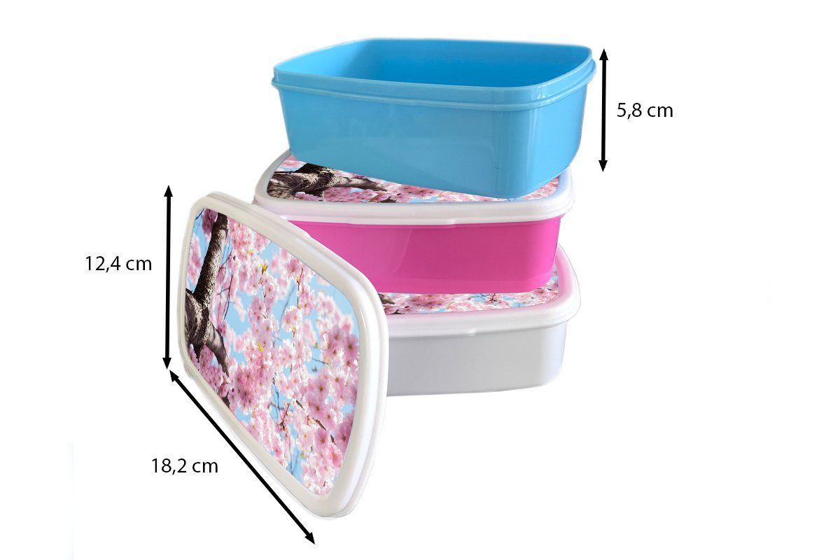 Brotbox rosa Erwachsene, Kunststoff (2-tlg), für Blumen Kinder, Brotdose MuchoWow Baum, Sakura - Lunchbox Kunststoff, - Mädchen, Snackbox,