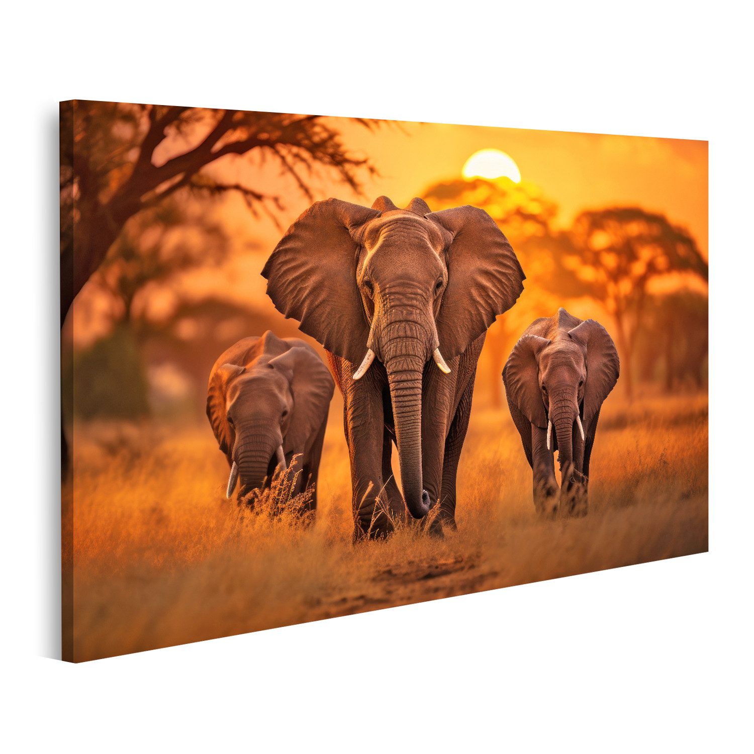 islandburner Leinwandbild Erwachsener Elefant Afrikanische Savanne Sonnenuntergang Zei Bilder