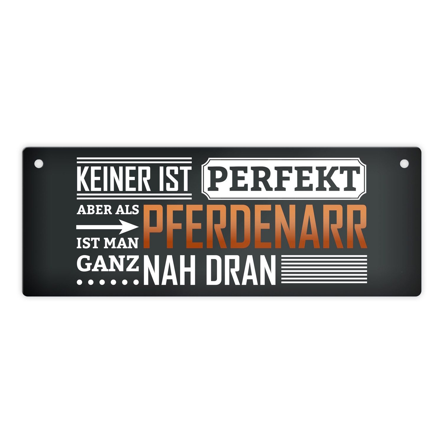 Metallschild Metallschild mit Spruch: Keiner ist perfekt aber als Pferdenarr man