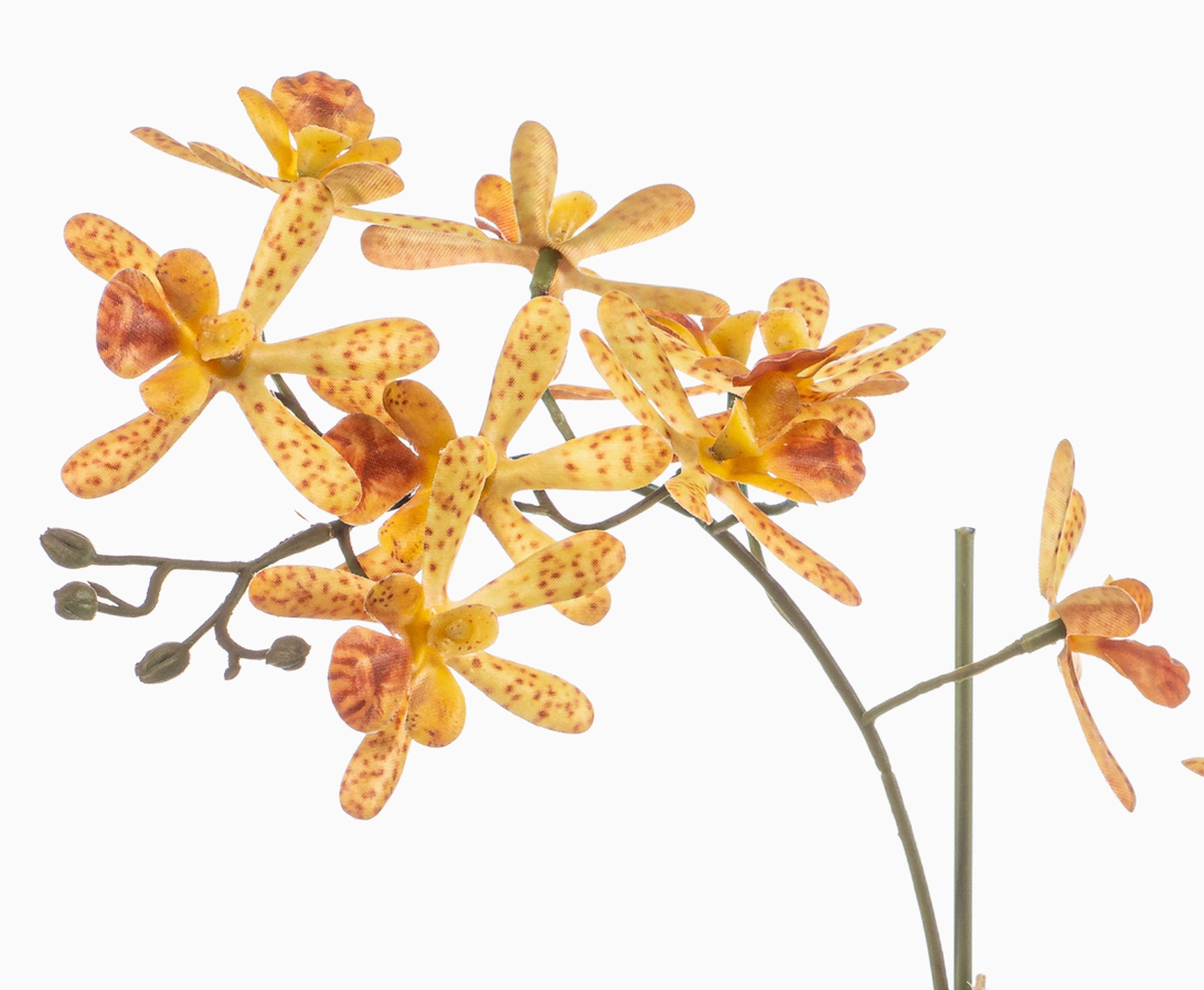 Kunstorchidee Künstliche Renanthera Orchidee BLANI im Keramiktopf, Wurzeln, gel Orchidee (Orchidee renanthera monachica), artplants, Höhe 55.0 cm – Bild 2 von 4
