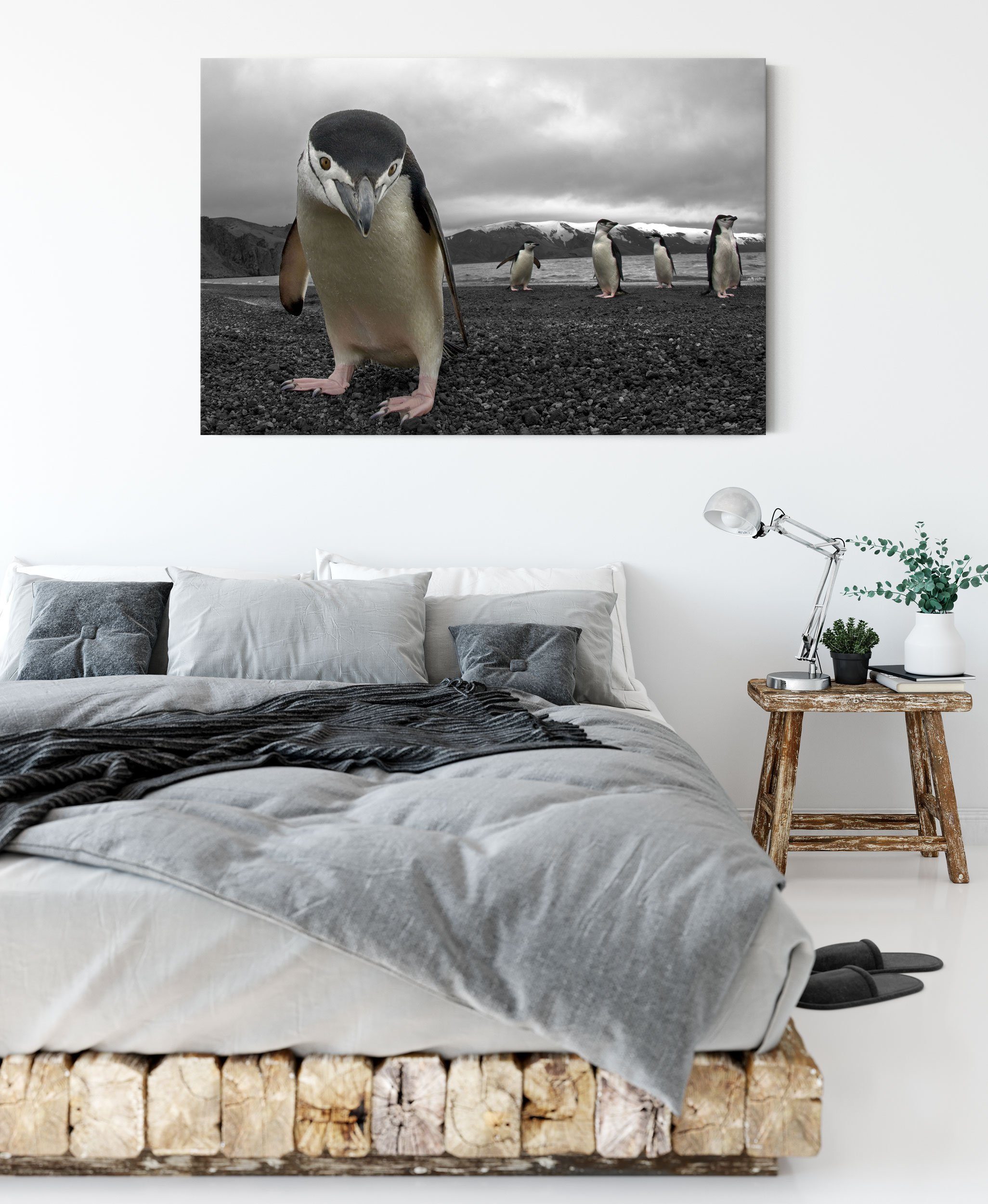 Pixxprint Leinwandbild Lustige Pinguine, fertig inkl. (1 St), Pinguine Leinwandbild Zackenaufhänger bespannt, Lustige