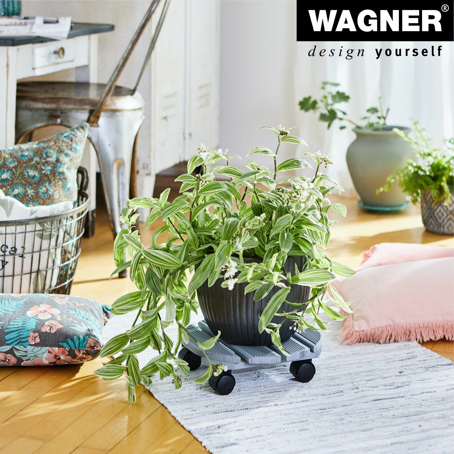 WAGNER design yourself Pflanzenroller CREO rund, diverse Größen I für Außenbereich + Innenbereich I FSC®-Massivholz, grau, geriffelt I softe und harte Rollen mit und ohne Bremse I Tragkraft 100 + 200 kg - Made in EU