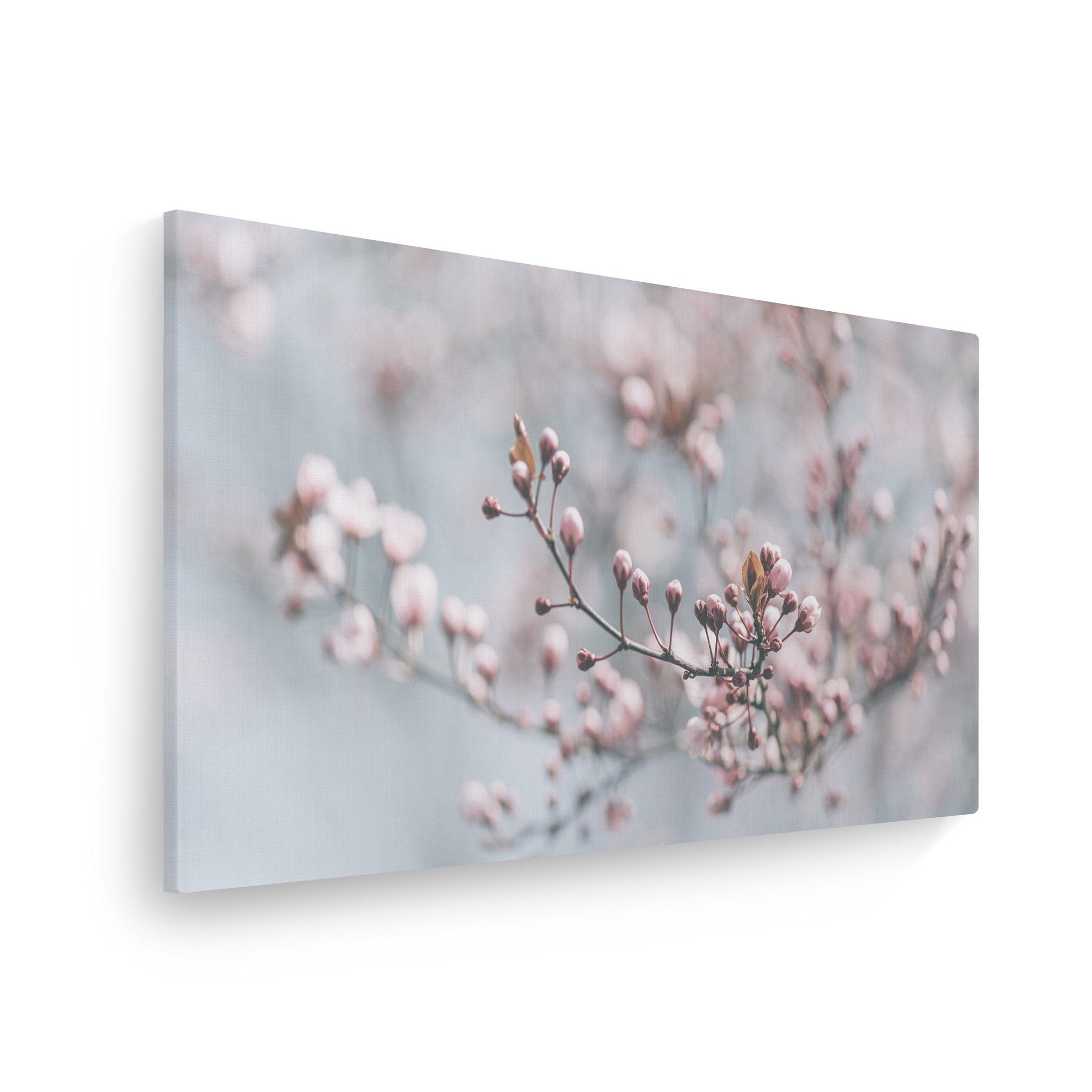 WallSpirit Leinwandbild "Kirschblüte" - XXL Wandbild, Leinwandbild geeignet für alle Wohnbereiche