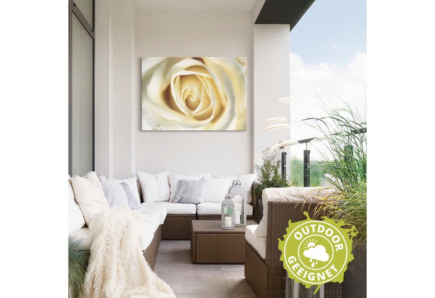 Artland Wandbild »Weiße Rose«, Blumen (1 Stück), in vielen Größen & Produktarten - Alubild / Outdoorbild für den Außenbereich, Leinwandbild, Poster, Wandaufkleber / Wandtattoo auch für Badezimmer geeignet-HomeTrends