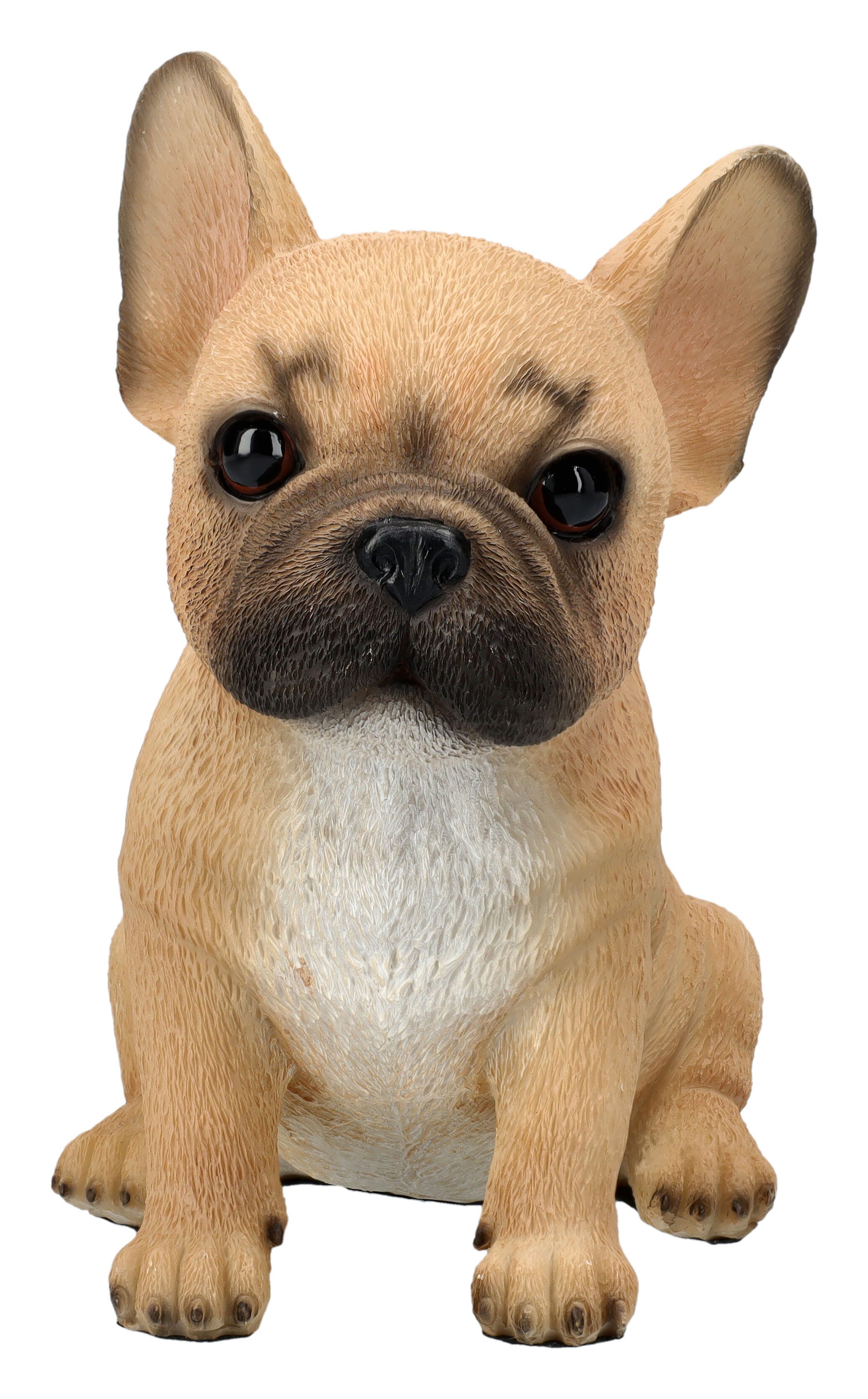 Figuren Shop GmbH Dekofigur Französische Bulldogge Figur – Dekoration Hund Statue 16 cm handbemalt