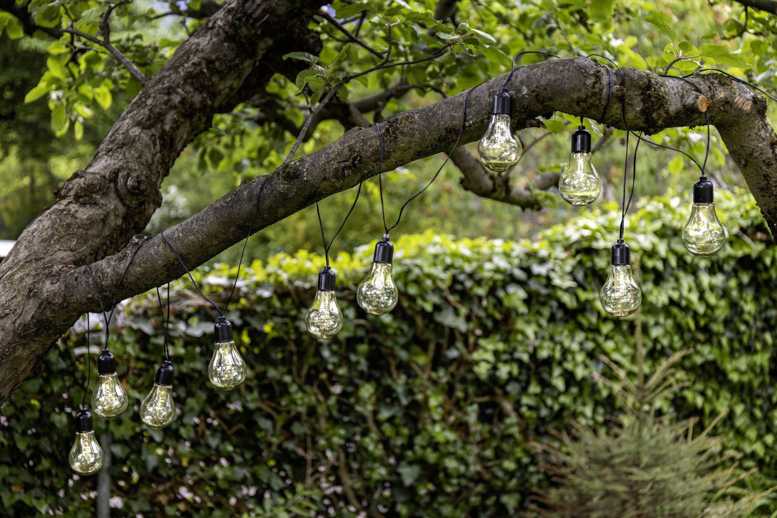 EGLO Lichterkette LED Lichterkette Libisa, Balkon Deko, Glühbirnen, IP44 Ou günstig online kaufen
