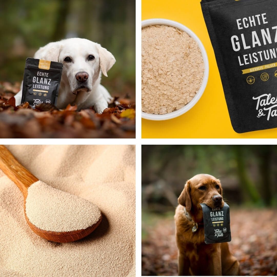 Tales & Tails Bierhefepulver Echte Glanzleistung, Nahrungsergänzungsmittel für: Hunde