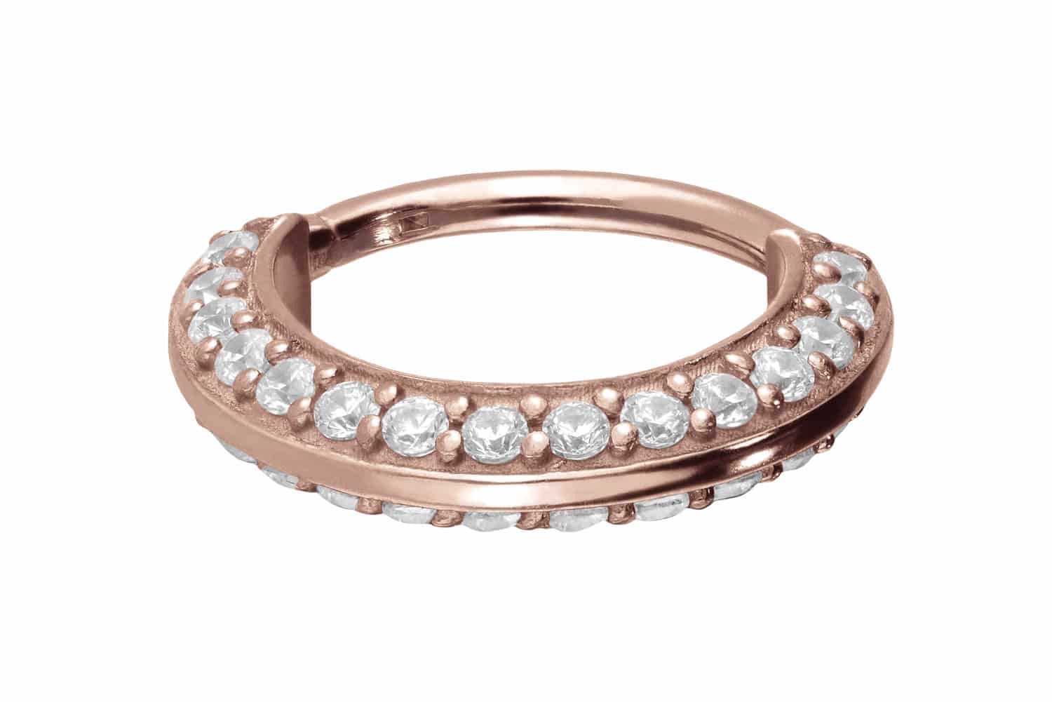 PIERCINGLINE Piercing-Set Chirurgenstahl Segmentring Clicker KRISTALLE günstig online kaufen