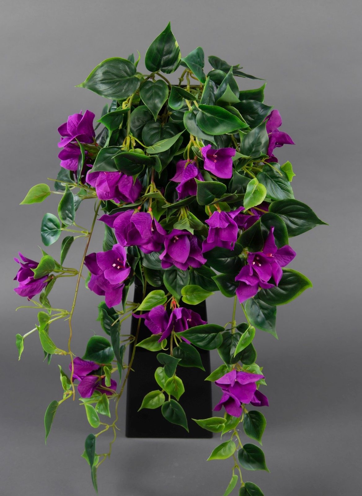 Kunstranke Bougainvillearanke 65cm ZF Kunstpflanzen Kunstblumen künstliche Ranke Bougainvillea, Seidenblumen Roß, Höhe 65 cm, Lila