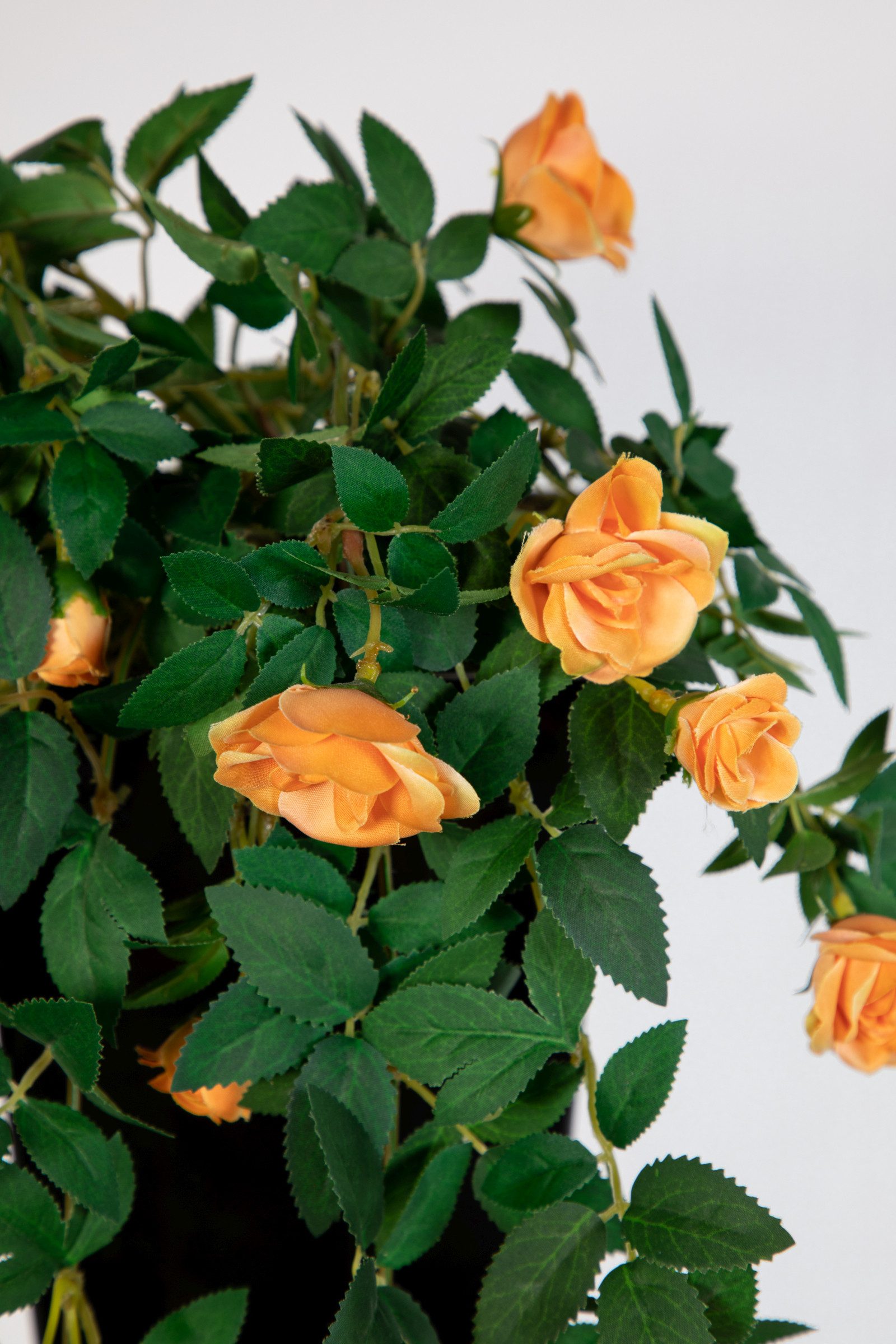 Kunstranke Rosenranke 62cm ZF Kunstpflanzen Kunstblumen künstliche Blumen Rosen, Seidenblumen Roß, Höhe 62 cm, Orange – Bild 3 von 4