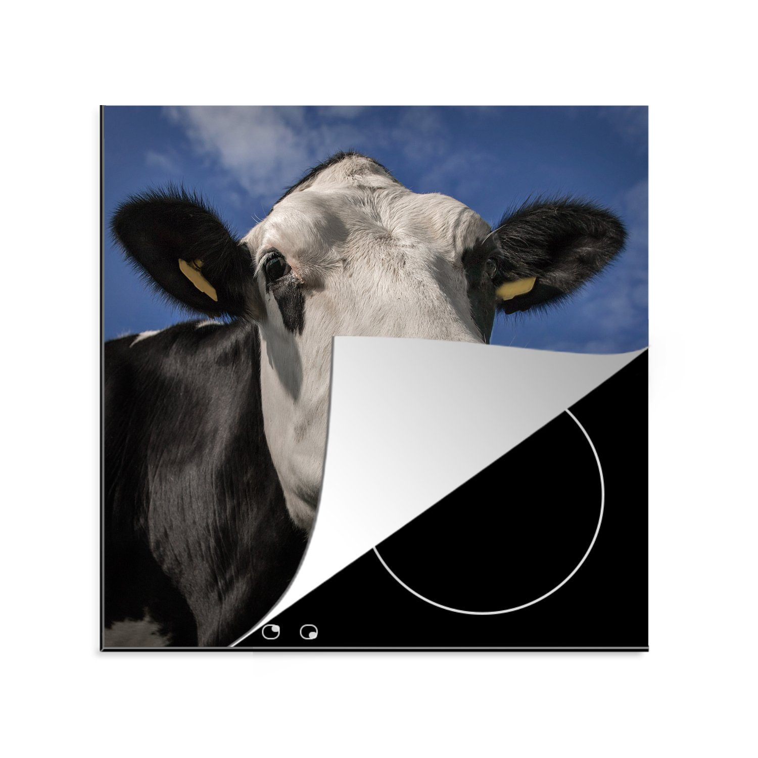 MuchoWow Herdblende-/Abdeckplatte Kuh - Weiß - Nase - Tiere, Vinyl, (1 tlg), 78x78 cm, Ceranfeldabdeckung, Arbeitsplatte für küche