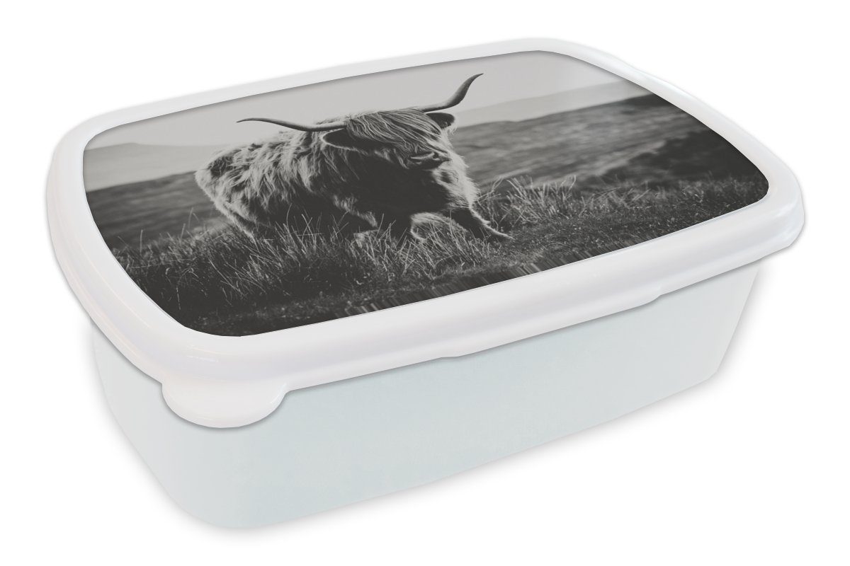MuchoWow Lunchbox Schottischer Hochlandbewohner - Natur - Kühe - Tiere - Schwarz und, Kunststoff, (2-tlg), Brotbox für Kinder und Erwachsene, Brotdose, für Jungs und Mädchen weiß