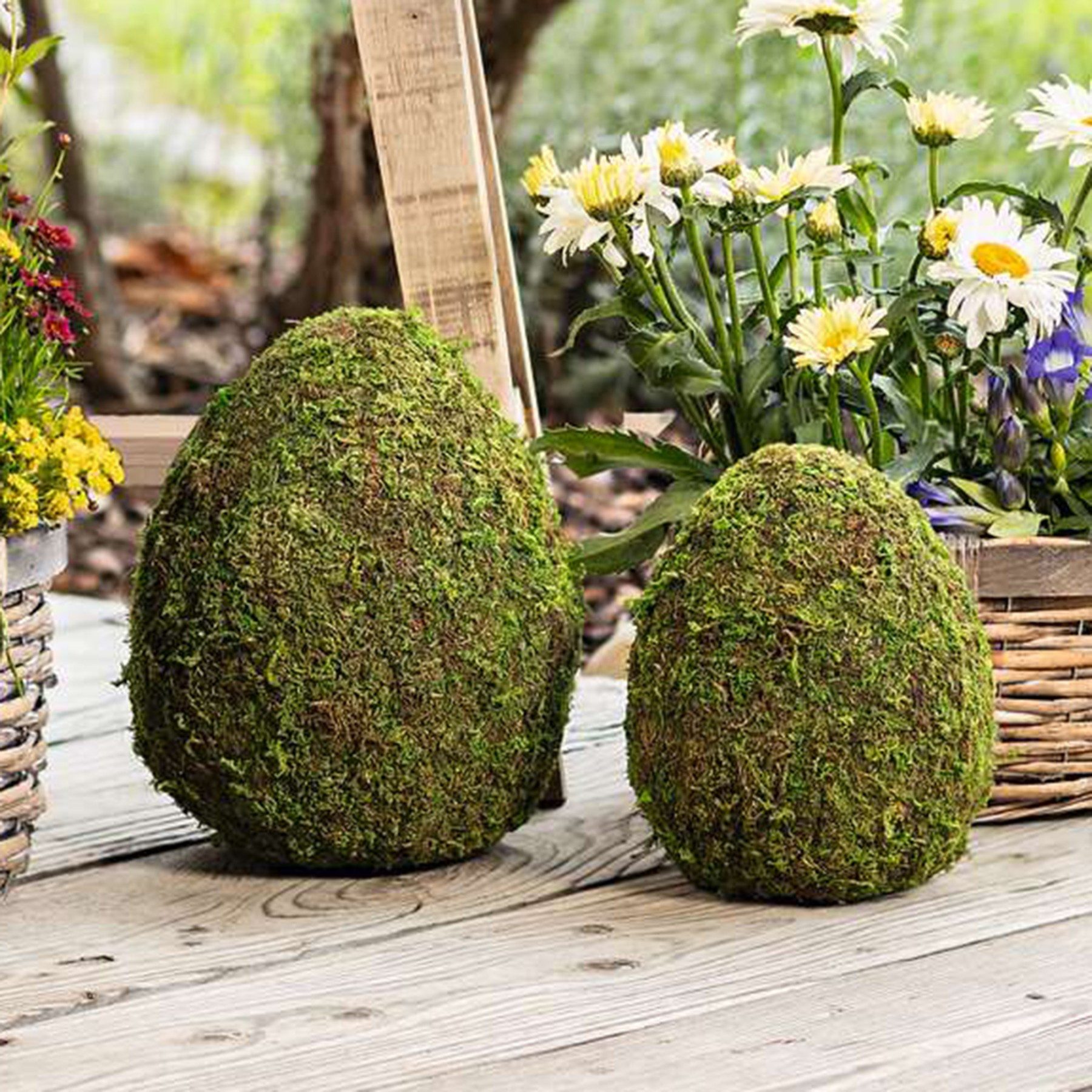 Dekoleidenschaft Osterei "Moos" Naturmoos auf Kunststoff, große Dekoeier, 19 + 24 cm, Osterdeko (2 St., im Set), Dekofigur, Frühlingsdeko, Mooseier, Osterei, Moosdeko, Eier