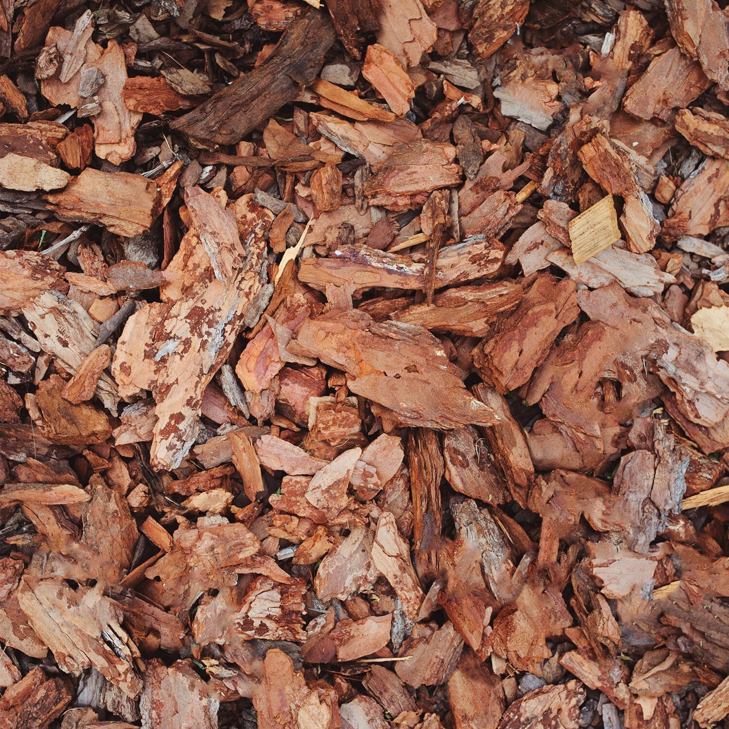 GALAMIO Rindenmulch Rindenmulch Kiefer Mittel, (Paket, 1-St) – Bild 3 von 5