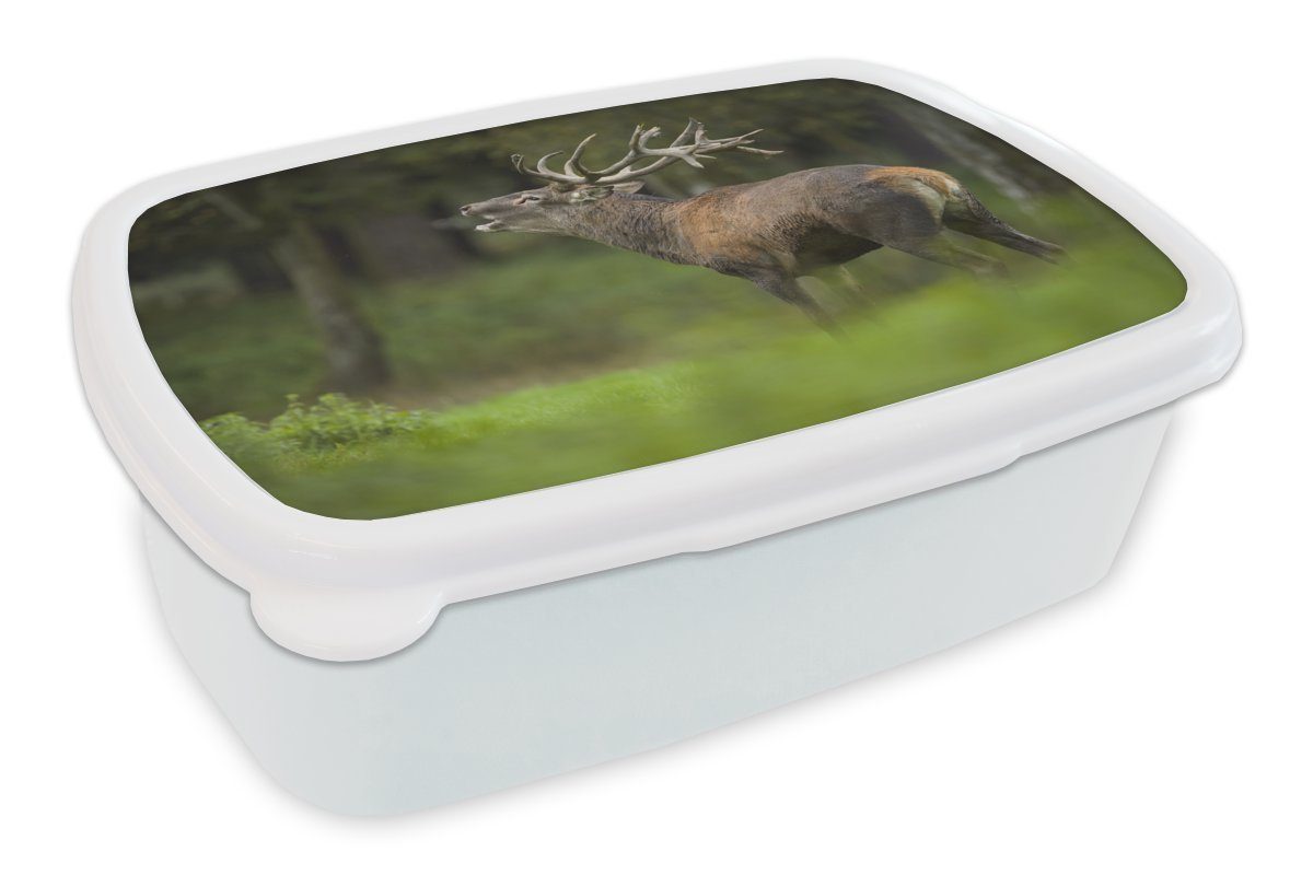 MuchoWow Lunchbox Elch - Wald - Porträt, Kunststoff, (2-tlg), Brotbox für Kinder und Erwachsene, Brotdose, für Jungs und Mädchen weiß