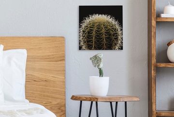 OneMillionCanvasses® Leinwandbild Eine Nahaufnahme eines dornigen Kaktus auf schwarzem Hintergrund, (1 St), Leinwand Bilder für Wohnzimmer Schlafzimmer