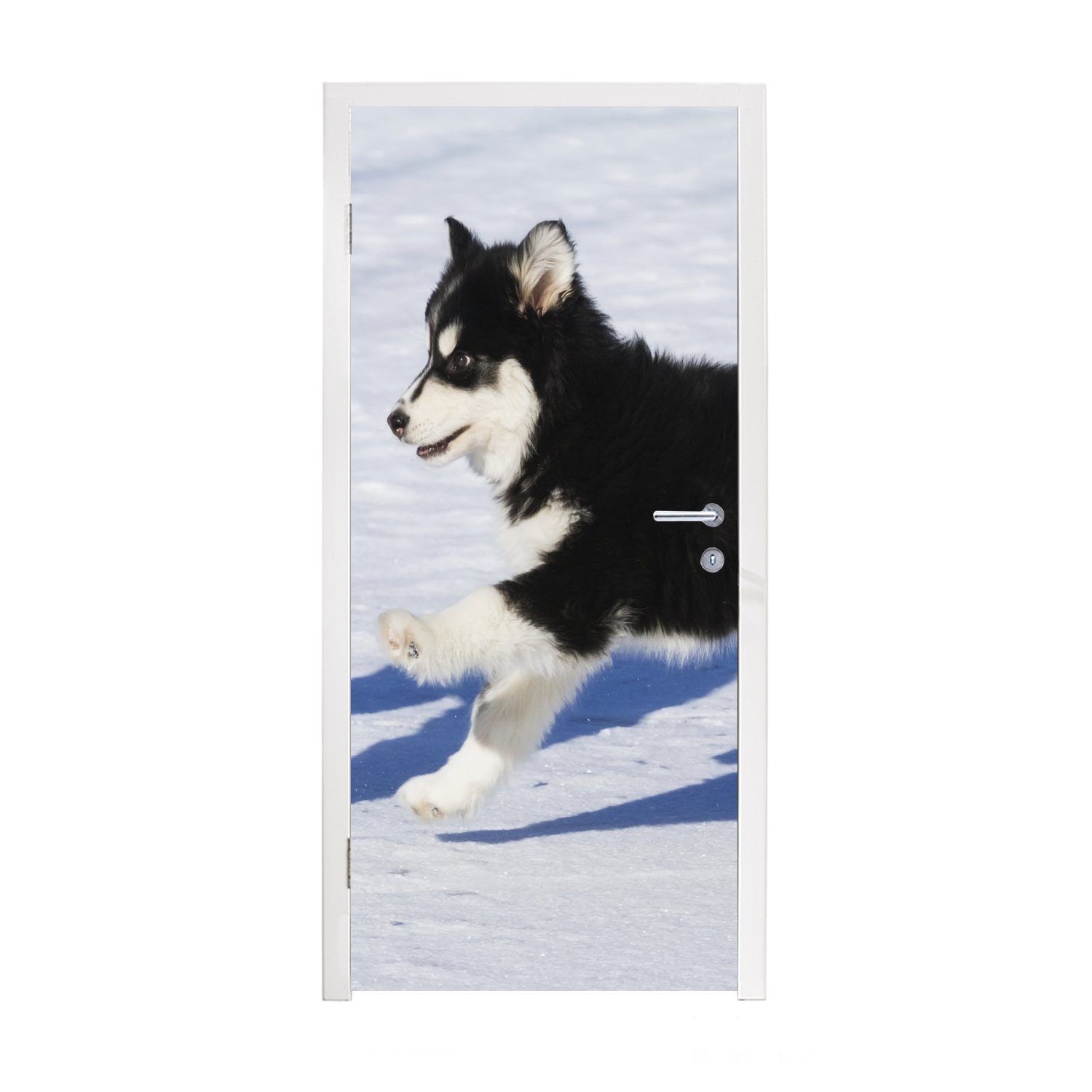 MuchoWow Türtapete Husky-Welpe läuft über den Schnee, Matt, bedruckt, (1 St), Fototapete für Tür, Türaufkleber, 75x205 cm