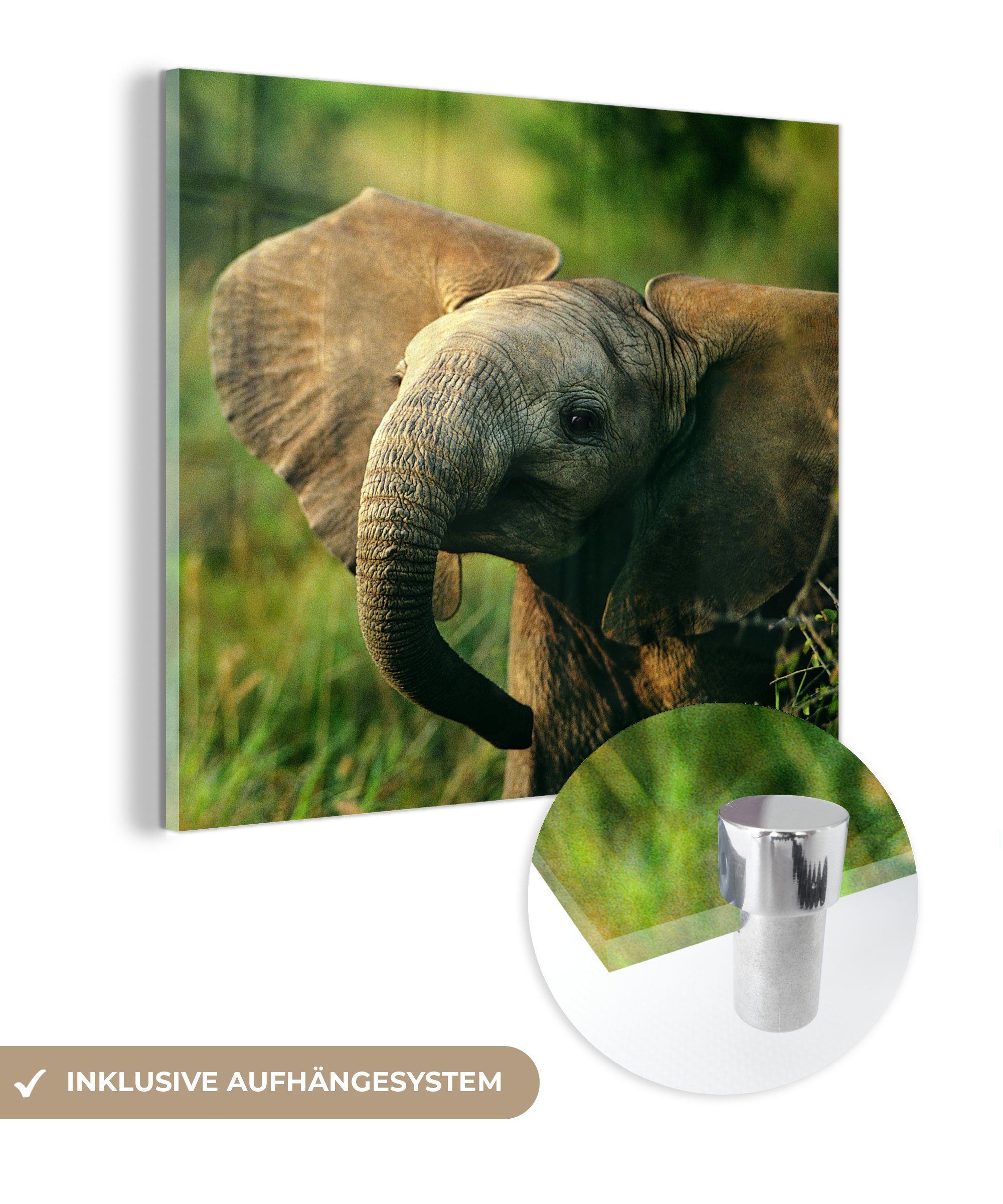 Acrylglasbild Bilder Tiere - - - Glas MuchoWow Wanddekoration Glasbilder - Elefant (1 Foto Wandbild - Grün auf Natur, St), Glas auf -