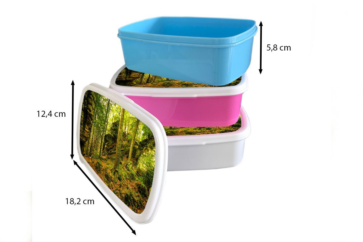Brotbox - Lunchbox - Wald Natur Erwachsene, für Bäume Brotdose, und (2-tlg), weiß Pflanzen, Kinder Kunststoff, MuchoWow - Jungs Mädchen Stein - und für