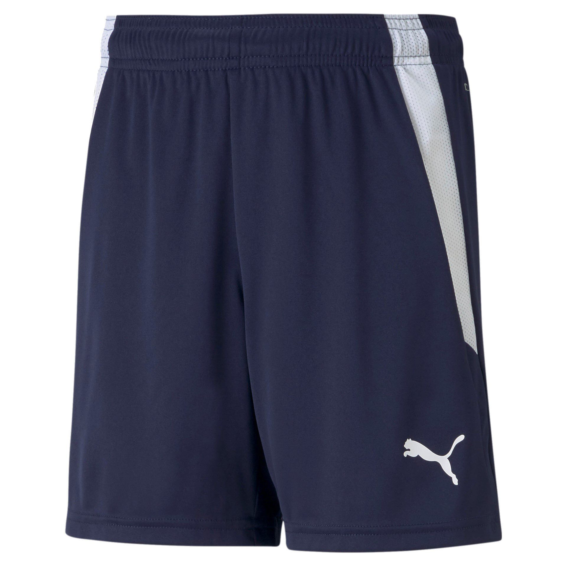 PUMA Sporthose teamLIGA Shorts peacoatblau Kinder