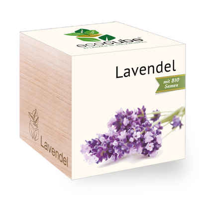 Feel Green Blumenerde Ecocube Lavendel von Feel Green, Nachhaltige Geschenkidee, (1-St)