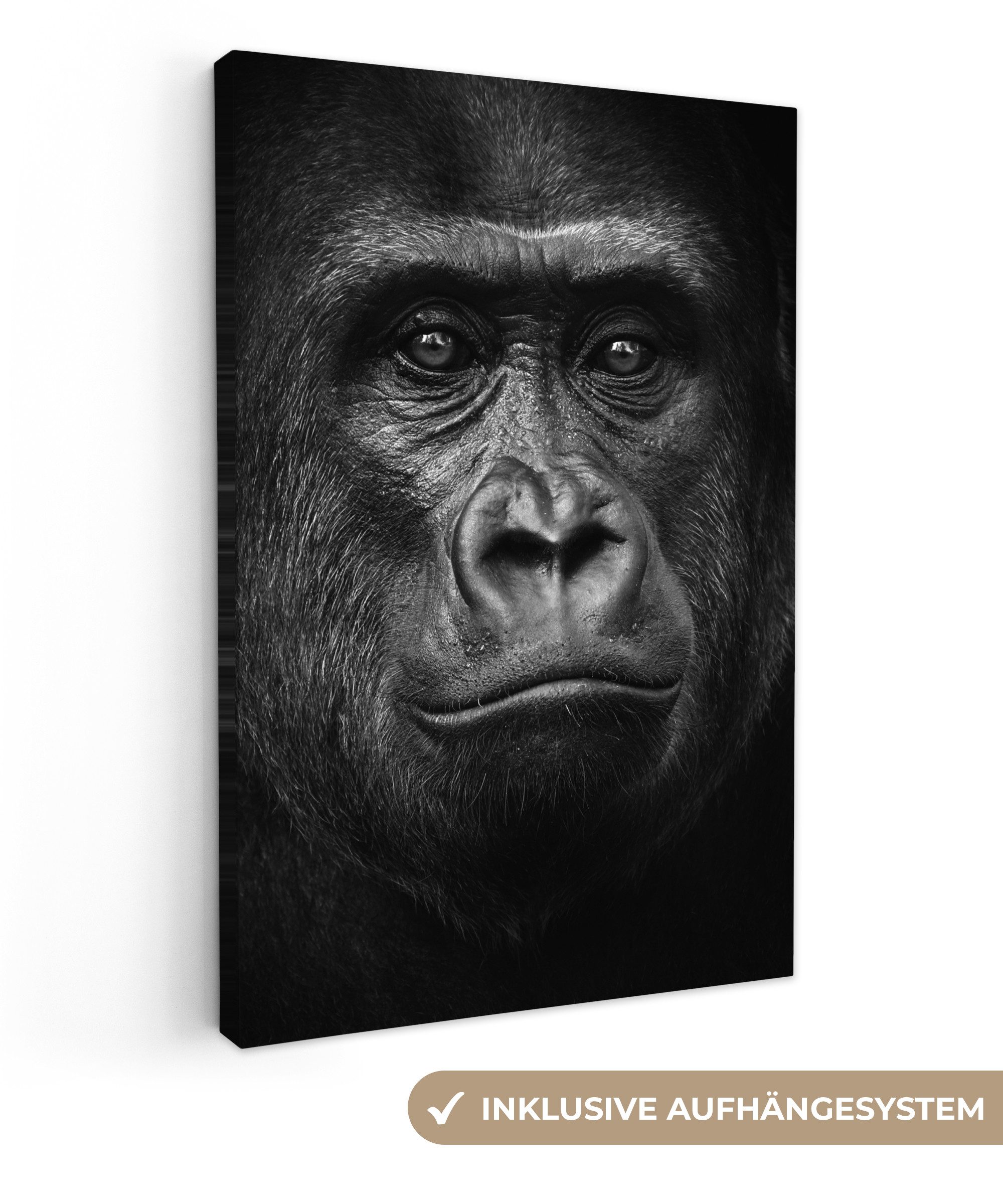OneMillionCanvasses® Leinwandbild Gorilla - Schwarz - Weiß - Tiere - Porträt, Fotodruck (1 St), Leinwand Canvas Wandbild, Wanddekoration 20x30 cm