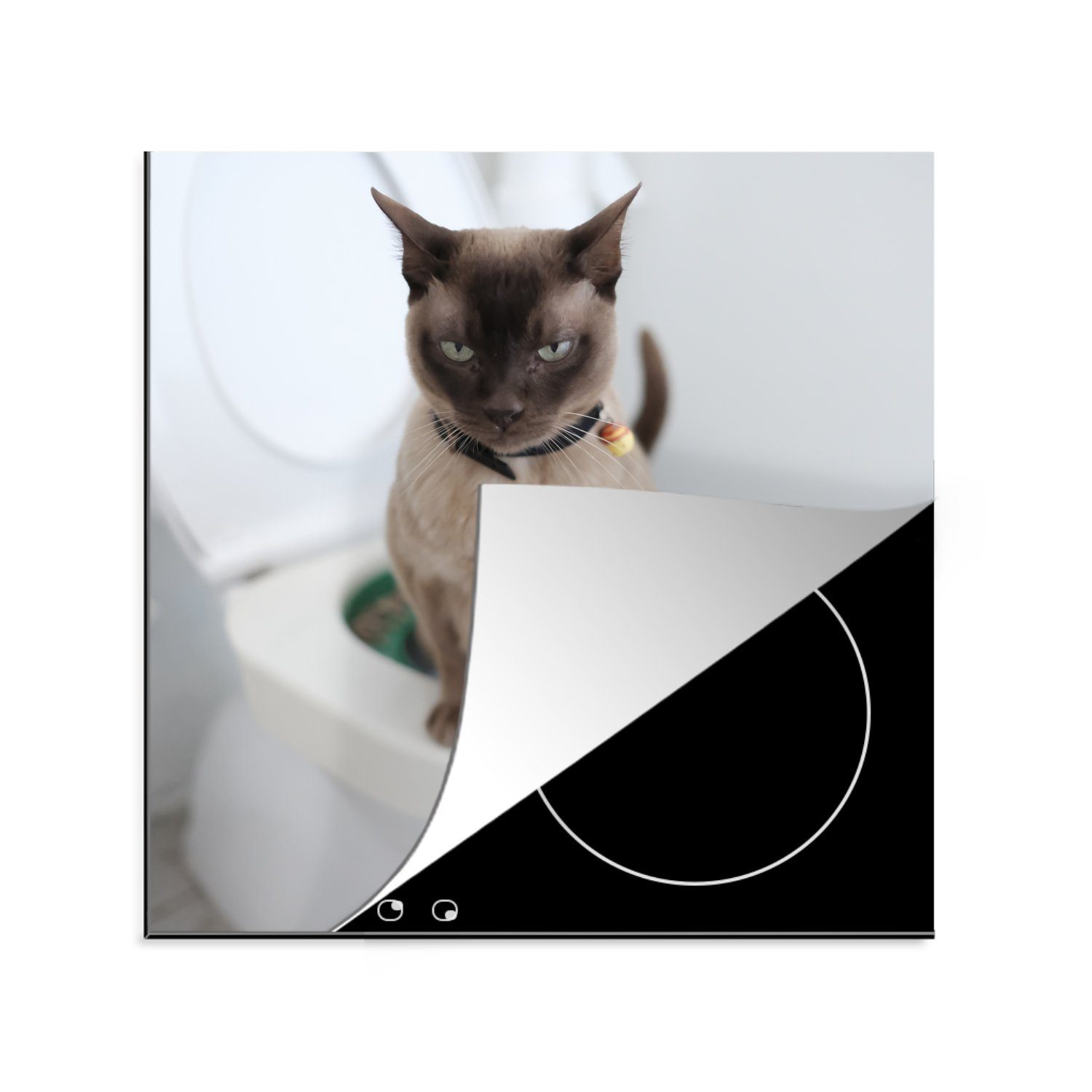 MuchoWow auf (1 der sitzt Toilette, Arbeitsplatte für küche tlg), Herdblende-/Abdeckplatte birmanische Ceranfeldabdeckung, Eine Vinyl, Katze cm, 78x78