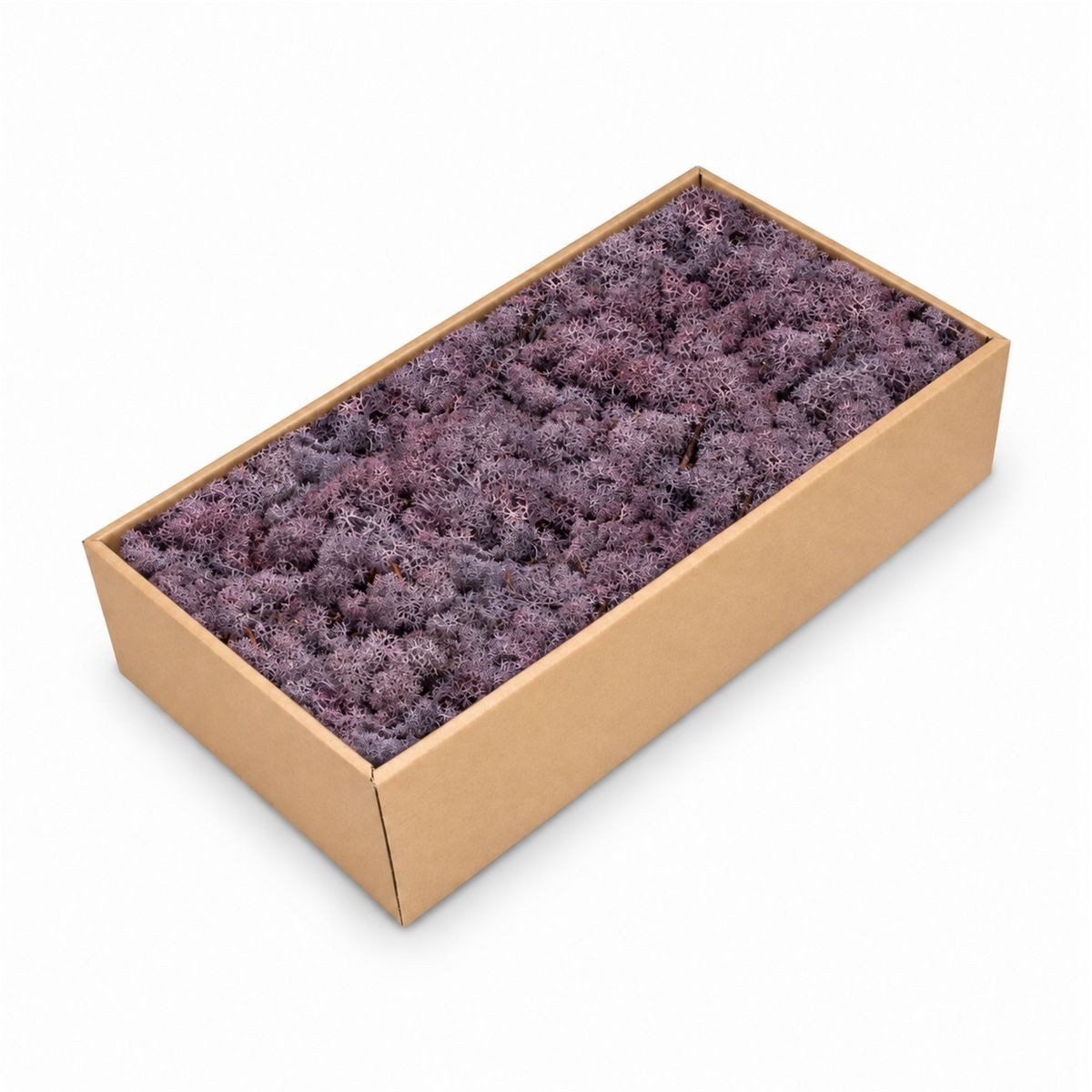 NaDeco Bastelnaturmaterial Islandmoos Lila 500g