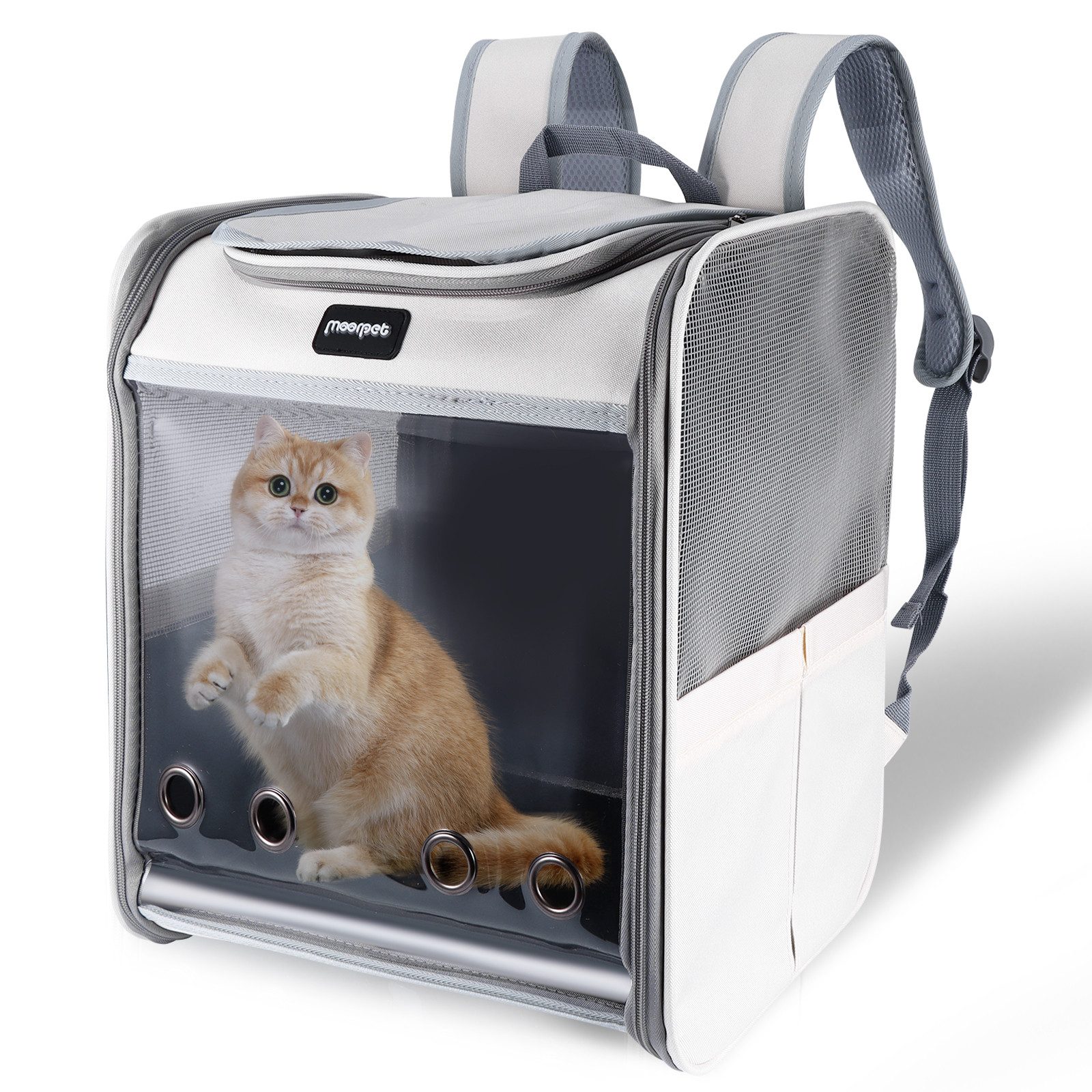 BlingBin Tiertransporttasche Katzenrucksack Katzentragerrucksack mit atmungsaktivem Netz bis 7,5 kg, Katzen-Rucksack für kleine Hunde, Kätzchen, Katzen, Tragetasche